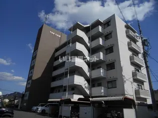 THE T O Mの画像