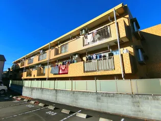 カレンズの画像