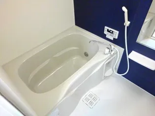 ラフレシール【3階】の風呂