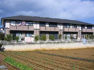 神奈川県秦野市今泉【アパート】の外観