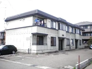 ハイセレール豊の画像