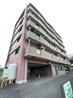 メゾンロイヤルかみとまつり【4階】の外観