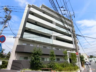 ホワイル椿の画像