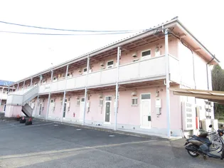 ヒコボシBの画像