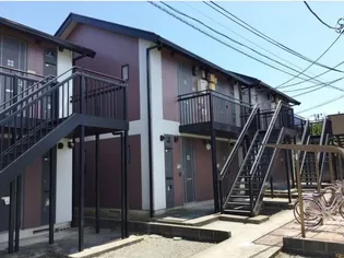 コートウィステリアIIIの画像