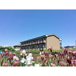 ソフィアの画像