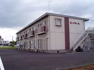トマト Bの画像
