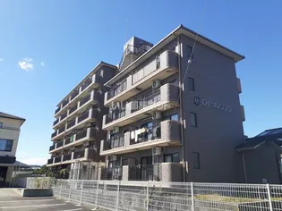 ロイヤルリングの画像