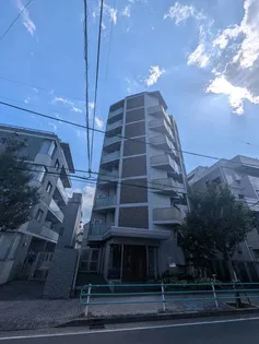 エルセレッソの画像
