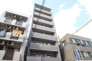 T VAISSELLEの画像