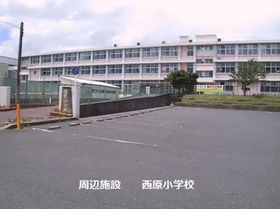 コーポ小宮【1階】の周辺