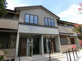 フェリスの画像