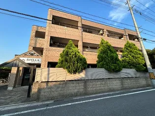 STELLAの画像
