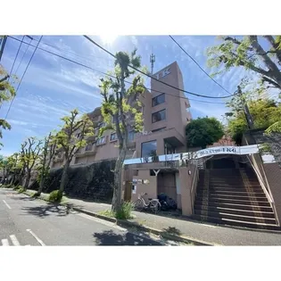 マキシムIK6の画像