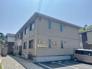 フェリシードの画像