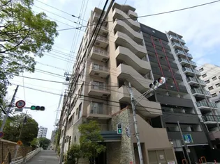 アリス.マナーガーデン谷町【2階】の外観