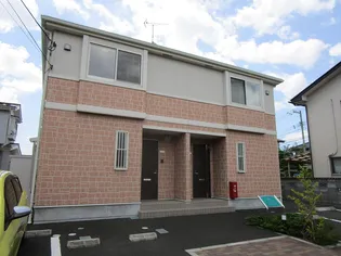 サンセベリアIIの画像