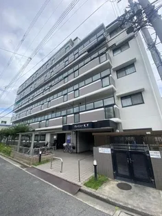 グレイシィーK Yの画像