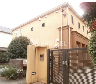 マグノリア ステラータ マキシマの画像