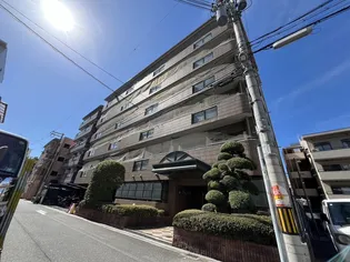 ビブレアビコの画像