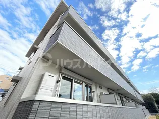 コットン フローラの画像