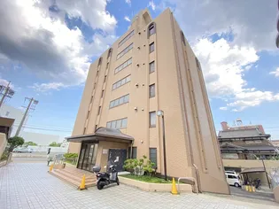 ベアーレ芳樹の画像