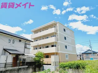 M K PRIMORの画像