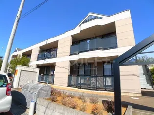 ラディッシュIVの画像