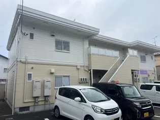 ダンデライオンの画像