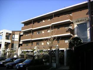 アルカディア 1の画像