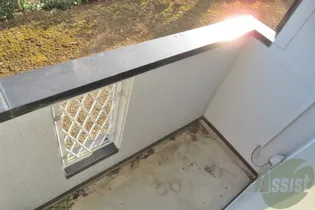 ハピネスTorino2【1階】の内装