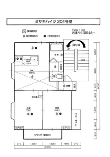 ミサキハイツ【2階】の間取り