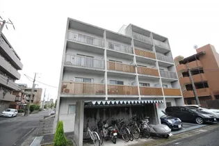 シャンスの画像