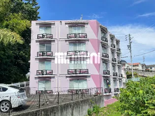 カレッジハイツ中条 Bの画像