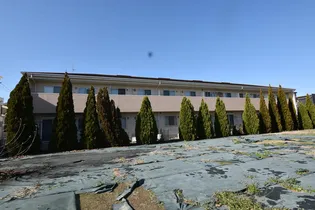 ミリオン志紀の画像