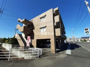 サングリーンの画像