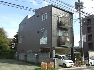 ハウル黒髪IIの画像