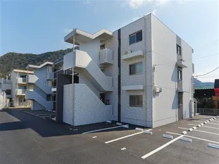 シーベルズの画像