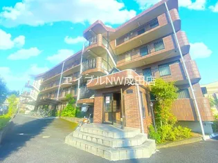 コーラルリーフの画像