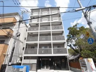 アメイジング桂の画像