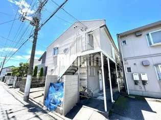 タウニーポプラの画像