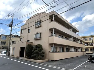 カターラ梶IIの画像