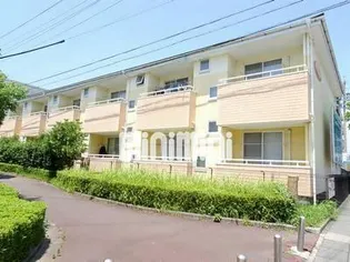 ダンデリッチの画像