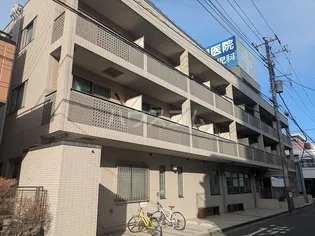 セレッソ湘南の画像