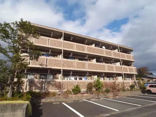 エトワール パレの画像