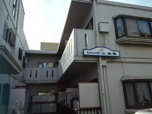 シャンポール加藤の画像