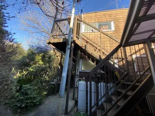 佐野ハイムの画像