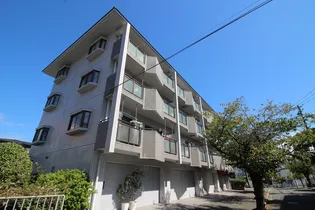 セントラル山田南【4階】の外観