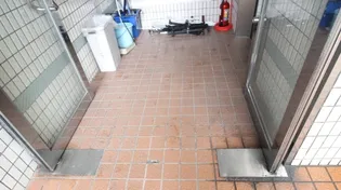 グリーンハイツ【6階】の地図