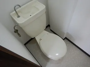 グリーンハイツ【6階】の内装